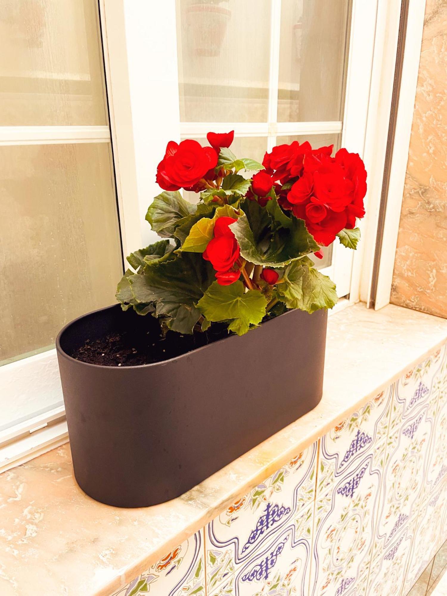 Apartament Casa Junto Al Mar El Ejido Zewnętrze zdjęcie